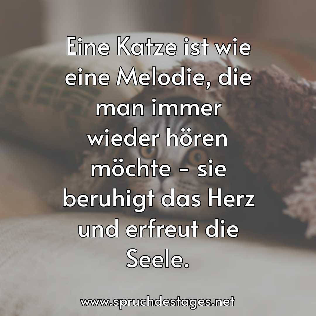 Spruch des Tages vom 07.01.2024 Spruch des Tages