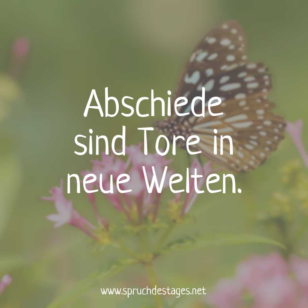 Spruch des Tages vom 01.02.2024 – Spruch des Tages